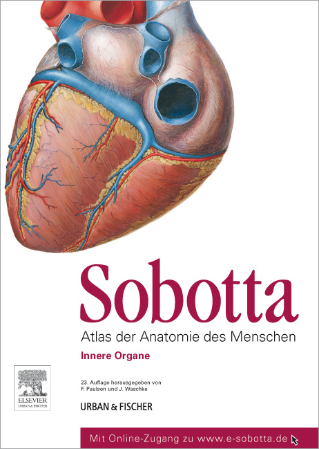 »F. Paulsen und J. Waschke: Sobotta - Band 2«, Buchumschlaggestaltung – Fachbücher